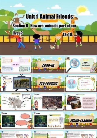 Unit 1 Section B（1a-1d）（同步课件）（人教版七下）.pptx