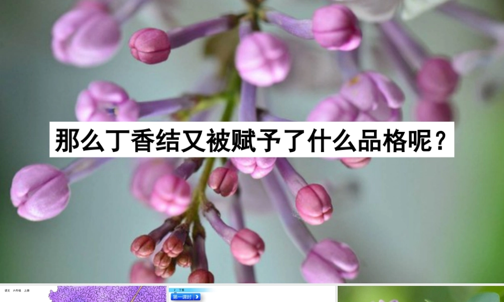 新版部编版语文六年级上册2 丁香结.pptx