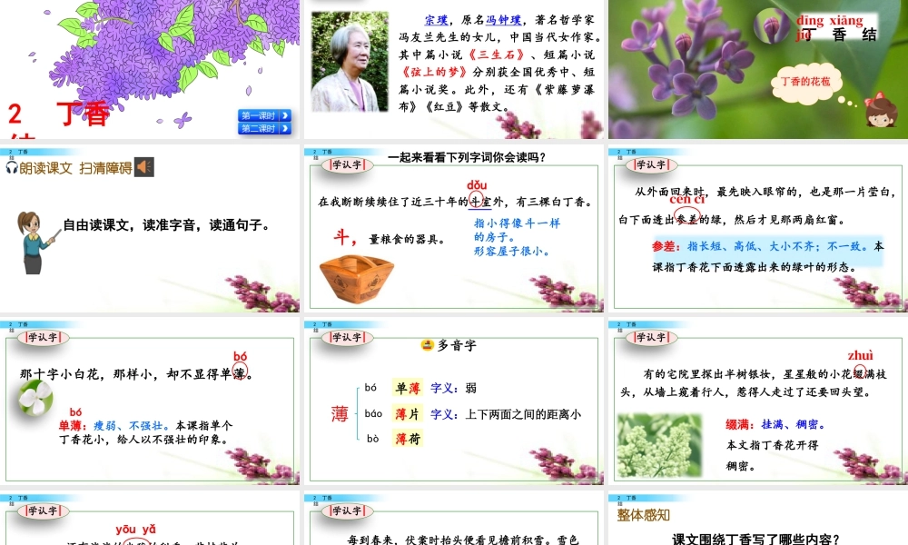 新版部编版语文六年级上册2 丁香结.pptx