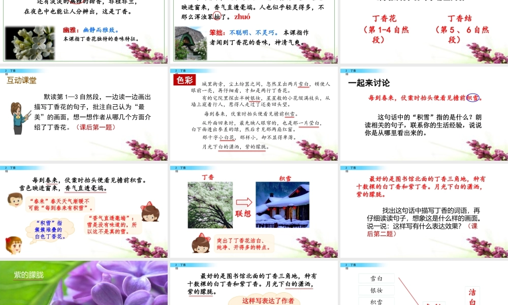 新版部编版语文六年级上册2 丁香结.pptx