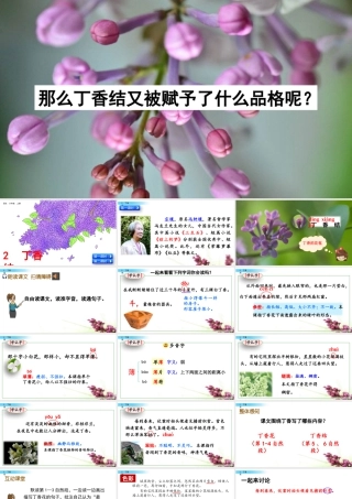 新版部编版语文六年级上册2 丁香结.pptx