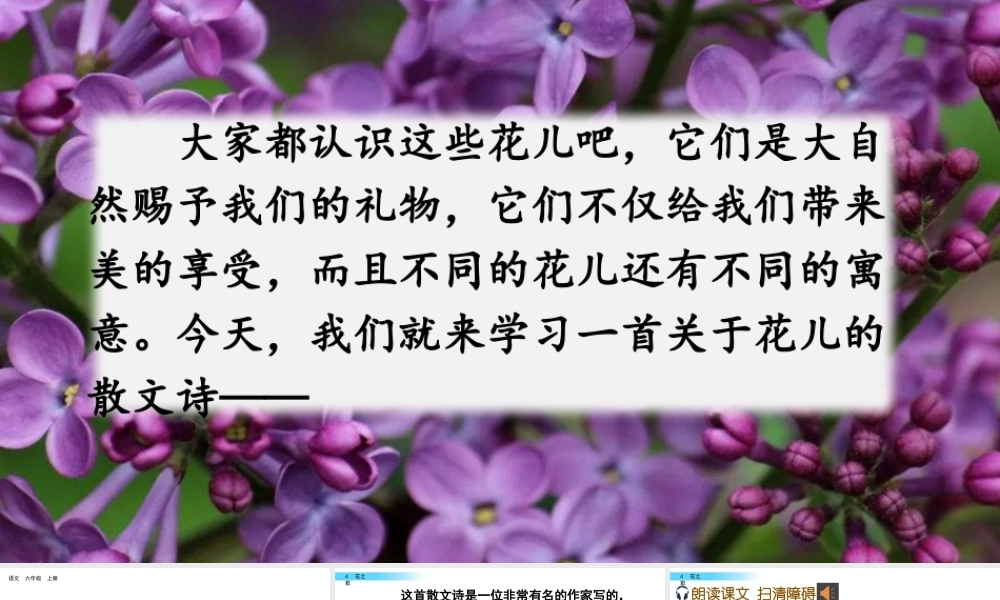 新版部编版语文六年级上册4 花之歌.pptx