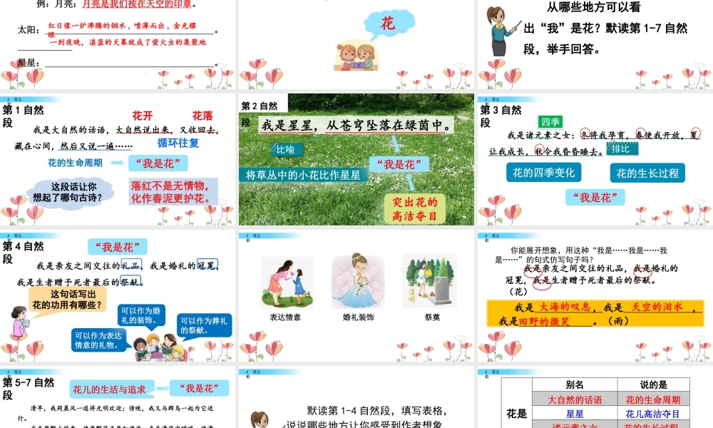 新版部编版语文六年级上册4 花之歌.pptx