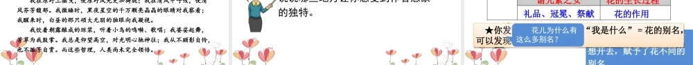 新版部编版语文六年级上册4 花之歌.pptx