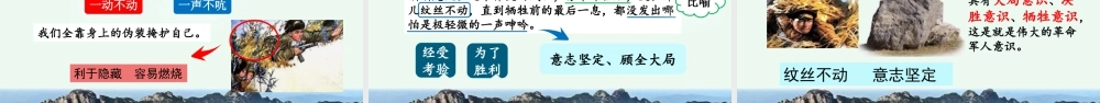 新版部编版语文六年级上册9 我的战友邱少云.pptx