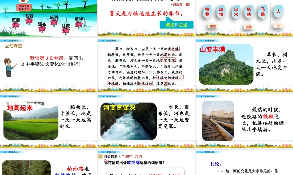 新版部编版语文六年级上册16 夏天里的成长.pptx