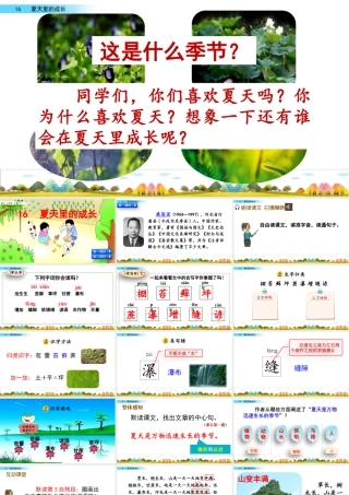 新版部编版语文六年级上册16 夏天里的成长.pptx