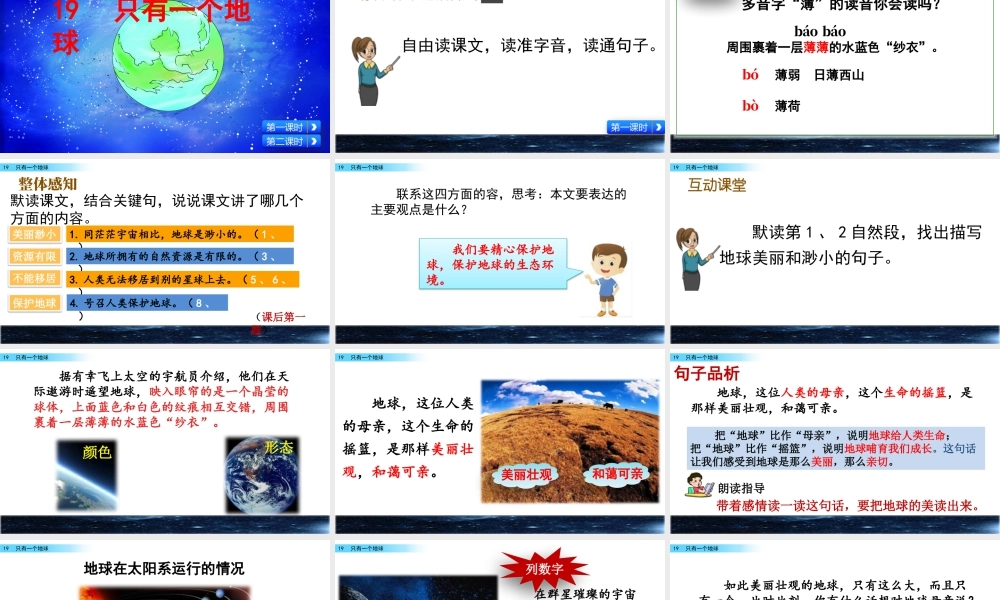 新版部编版语文六年级上册19 只有一个地球.pptx