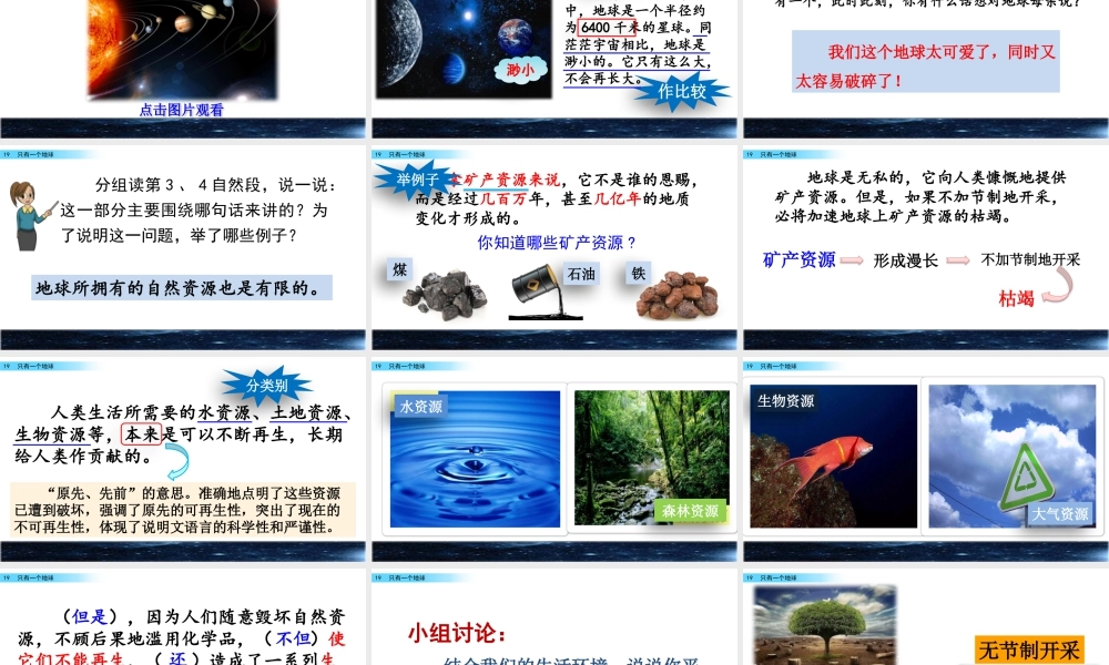 新版部编版语文六年级上册19 只有一个地球.pptx