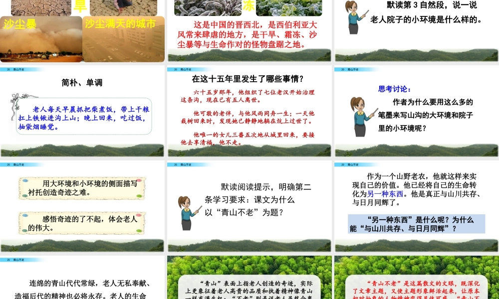 新版部编版语文六年级上册20 青山不老.pptx