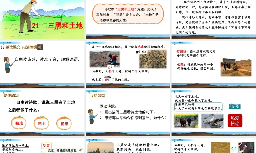 新版部编版语文六年级上册21 三黑和土地.pptx