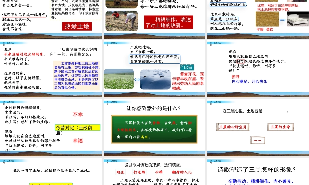 新版部编版语文六年级上册21 三黑和土地.pptx