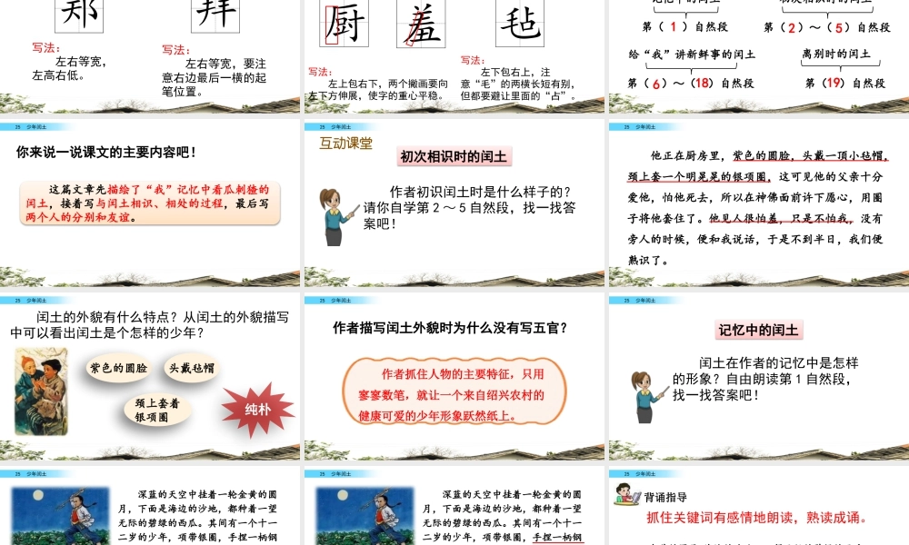 新版部编版语文六年级上册25 少年闰土.pptx