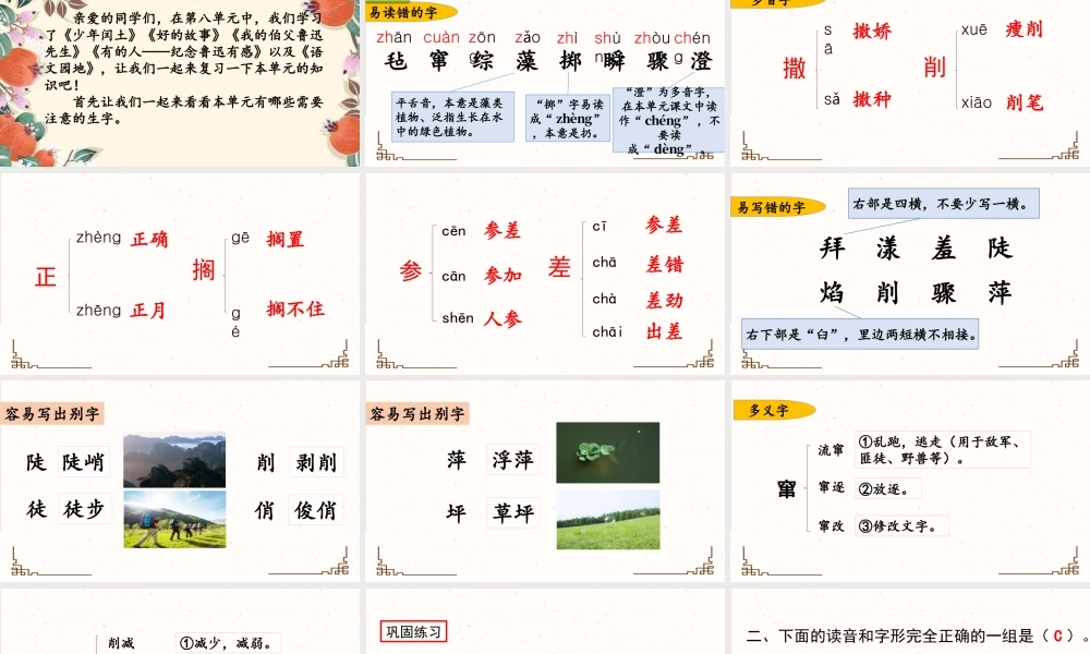 新版部编版语文六年级上册第八单元复习课件.pptx