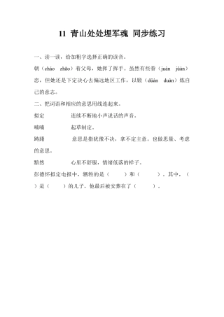 五年级下册11 青山处处埋军魂 同步练习.docx
