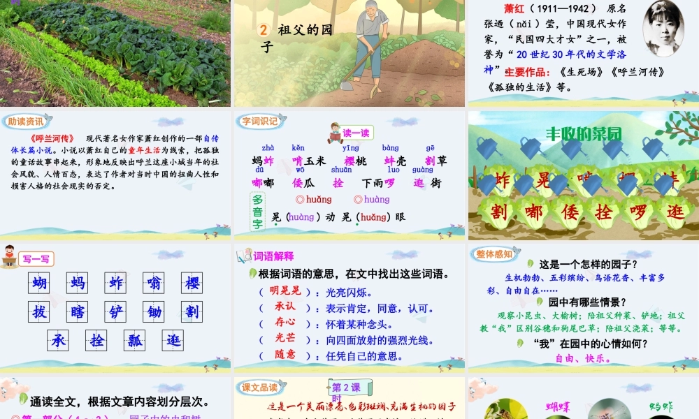 五年级下册课时2 祖父的园子 课件（部编版）.pptx