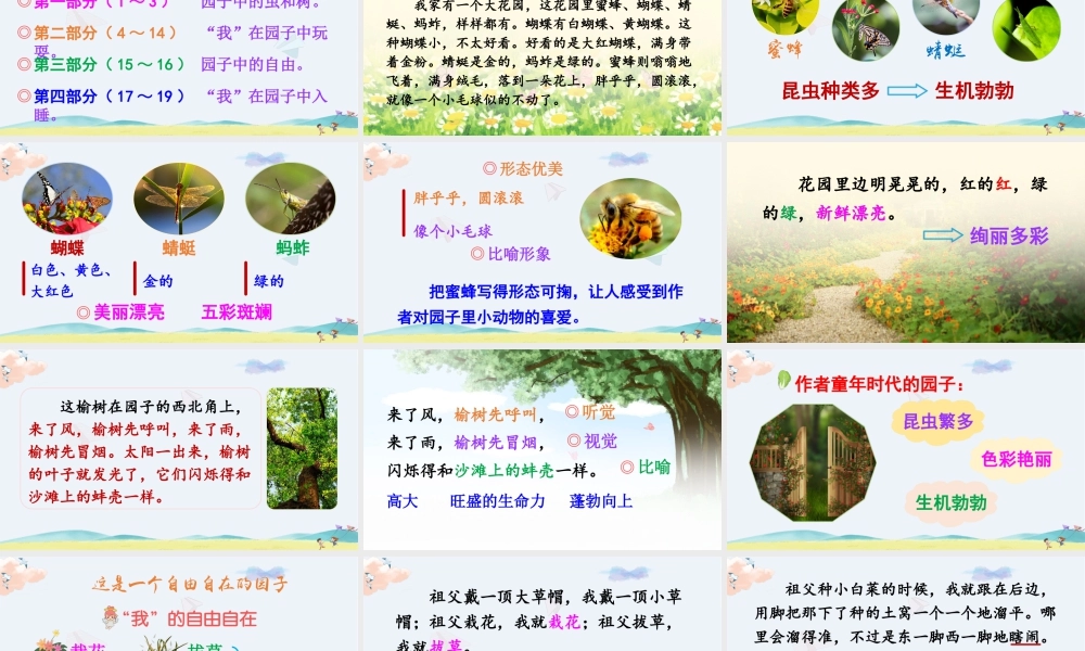 五年级下册课时2 祖父的园子 课件（部编版）.pptx