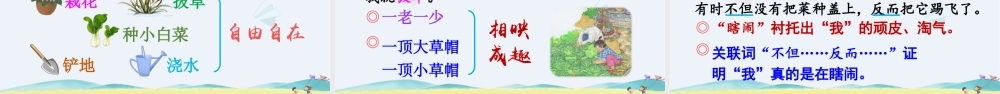 五年级下册课时2 祖父的园子 课件（部编版）.pptx