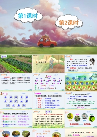 五年级下册课时2 祖父的园子 课件（部编版）.pptx