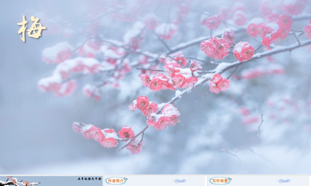 五年级下册课时4 梅花魂（课件）.pptx