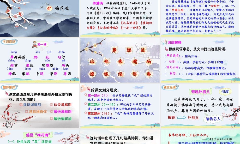 五年级下册课时4 梅花魂（课件）.pptx