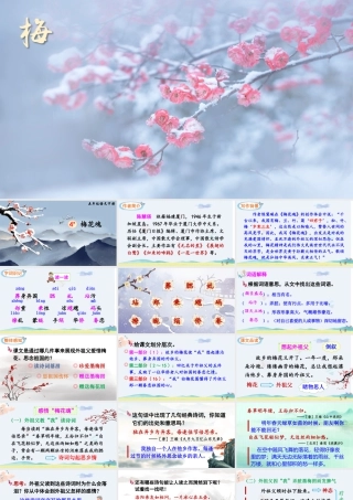 五年级下册课时4 梅花魂（课件）.pptx