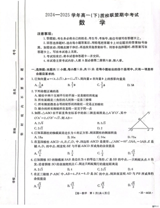 河北省邢台市2024-2025学年高一下学期质检联盟期中考试数学试题.pdf