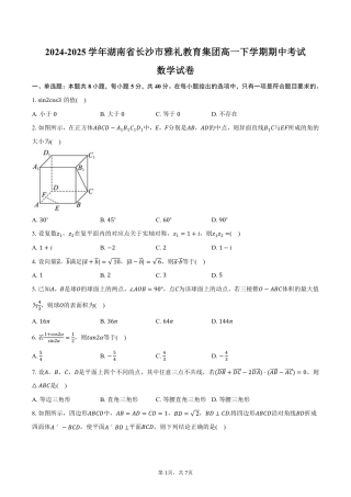 湖南省长沙市雅礼教育集团2024-2025学年高一下学期期中考试数学试卷（PDF版，含答案）.pdf