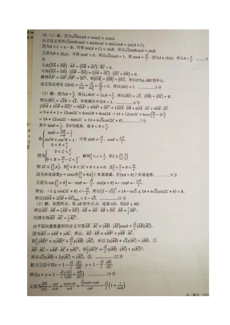 四川省成都市树德中学2024-2025学年高一下学期5月月考数学试题（图片版，含答案）_数学答案.pdf_第3页