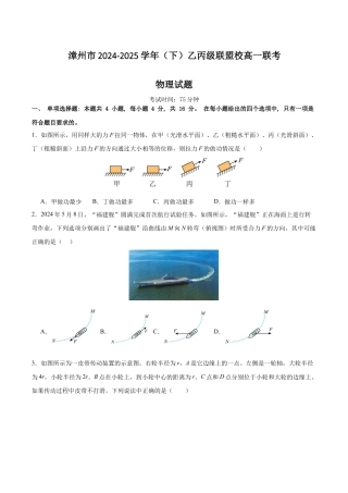 福建省漳州市乙丙级联盟校2024-2025学年高一下学期期中考试 物理（含解析）.docx