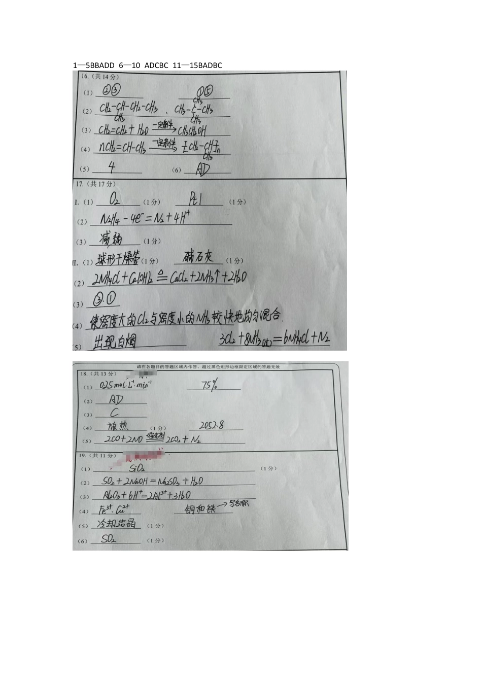 四川省遂宁市射洪中学2024-2025学年高一下学期期中考试化学试题（含答案）_化学答案.docx_第1页