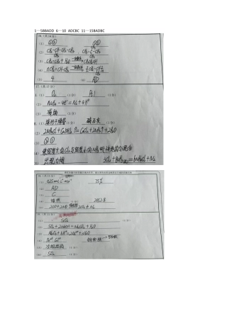 四川省遂宁市射洪中学2024-2025学年高一下学期期中考试化学试题（含答案）_化学答案.docx