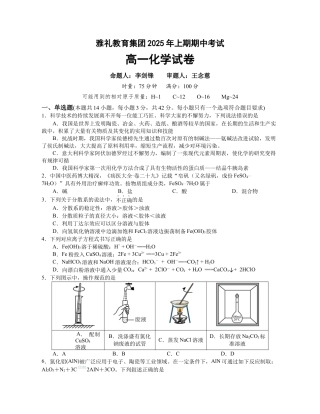 雅礼教育集团2025年上期期中考试 化学试卷.docx