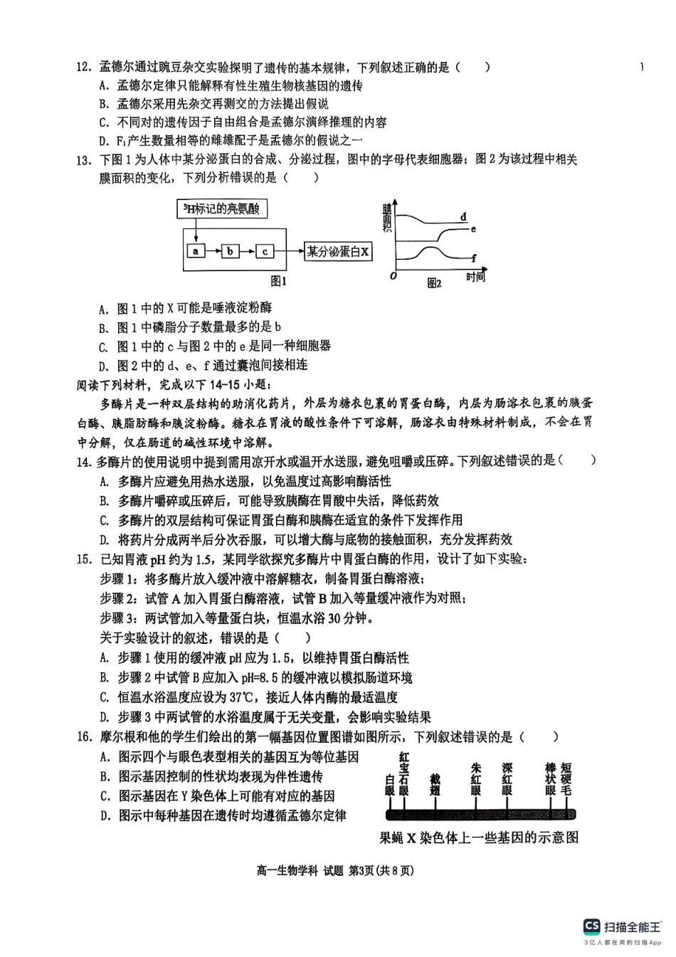 浙江省G5联盟2024-2025学年高一下学期期中考试生物试题（图片版，无答案）.pdf_第3页
