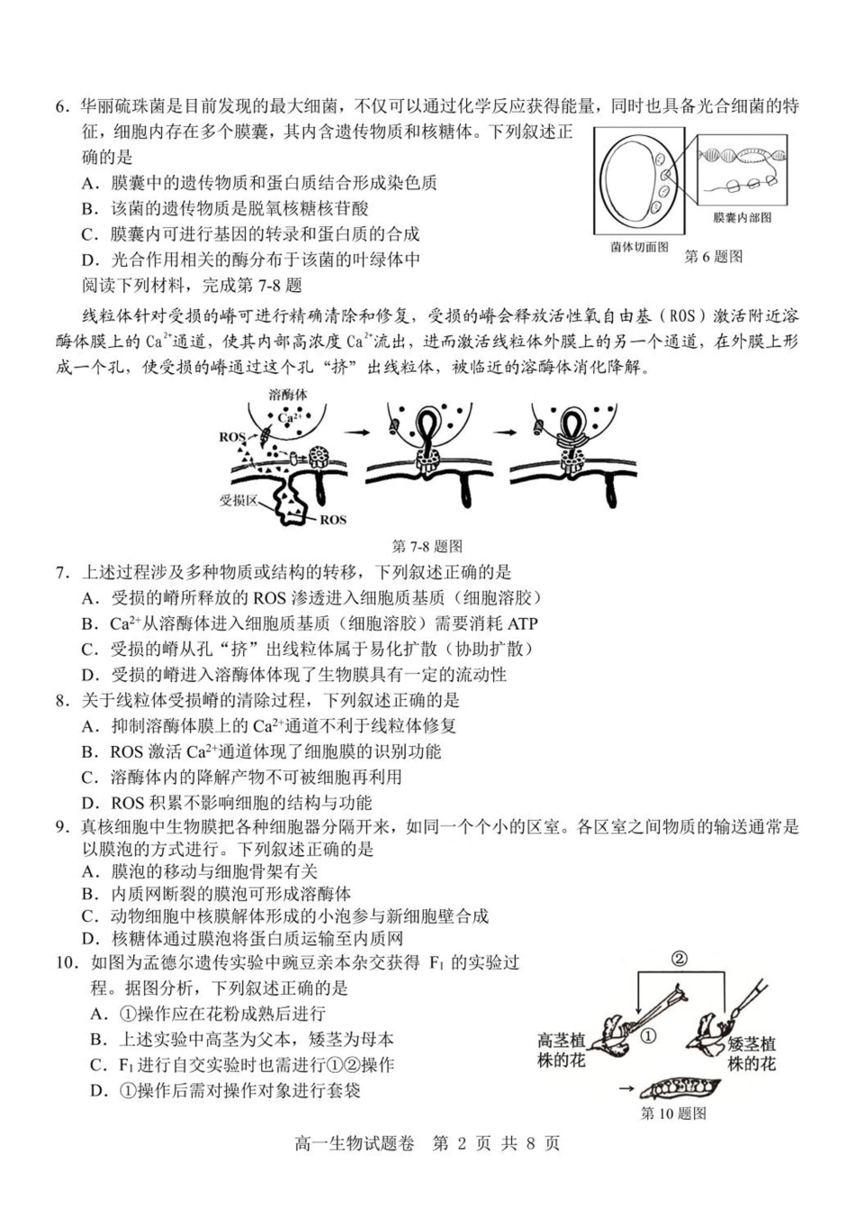 浙江省杭州地区（含周边）重点中学2024-2025学年高一下学期期中考试生物试卷（PDF版，含答案）.pdf_第2页