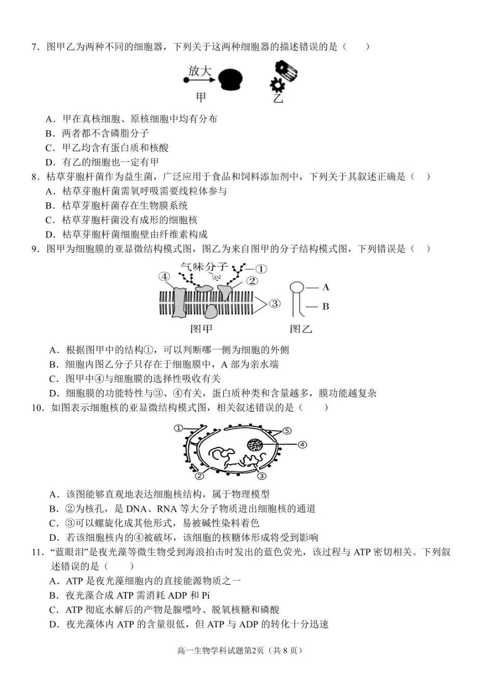 浙江省温州市环大罗山联盟2024-2025学年高一下学期期中考试 生物 PDF版含答案.pdf_第2页