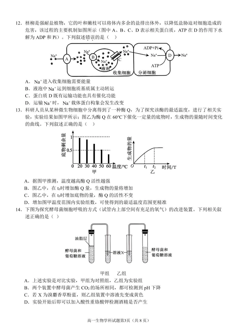 浙江省温州市环大罗山联盟2024-2025学年高一下学期期中考试 生物 PDF版含答案.pdf_第3页
