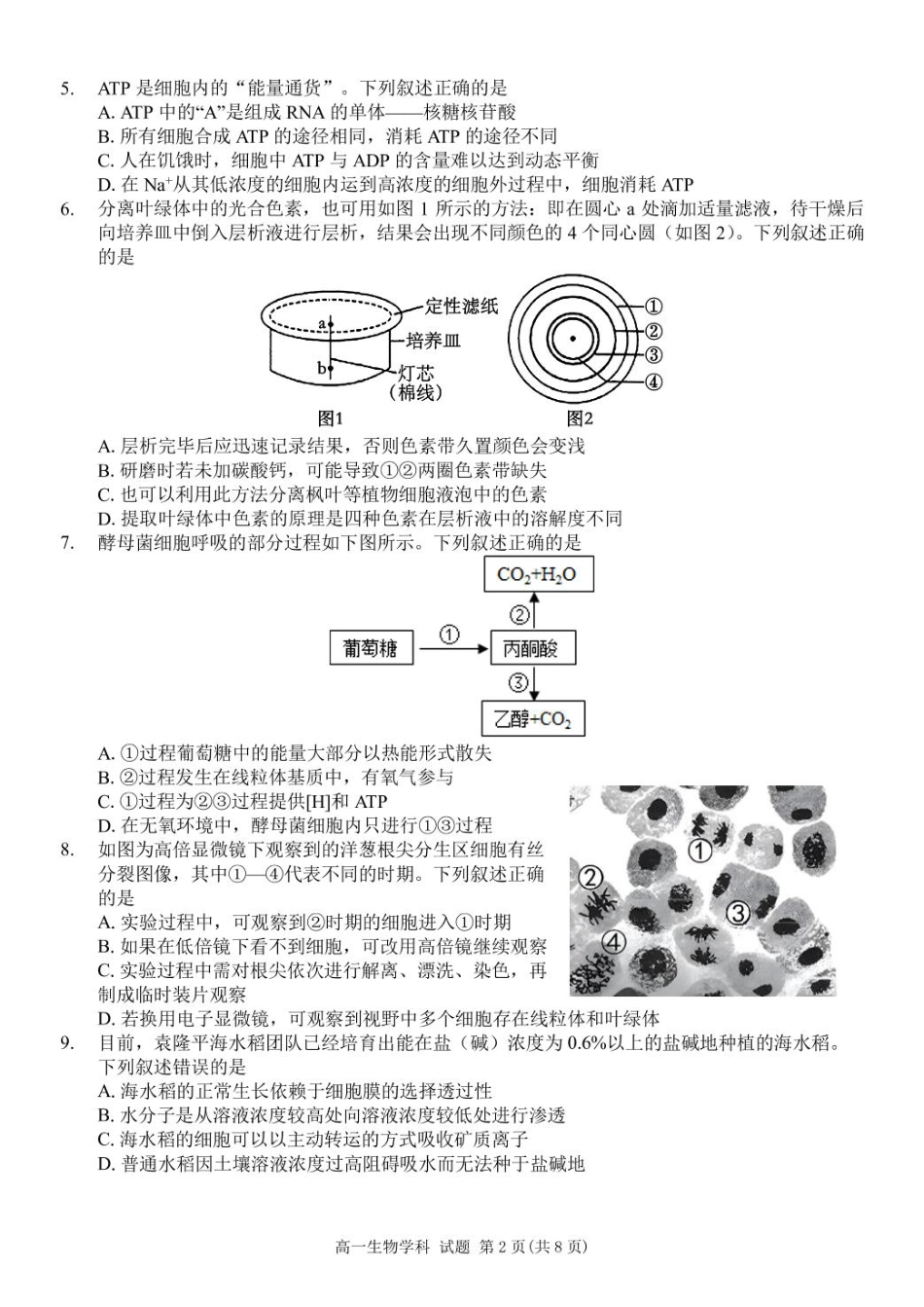浙江省浙东北县域名校发展联盟2024-2025学年高一下学期4月期中生物试题.pdf_第2页