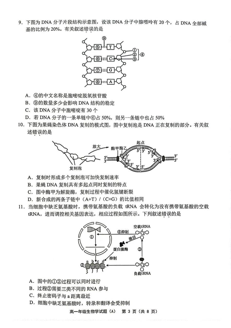 江苏省连云港市赣榆区2024-2025学年高一下学期4月期中考试 生物 PDF版含答案.pdf_第3页