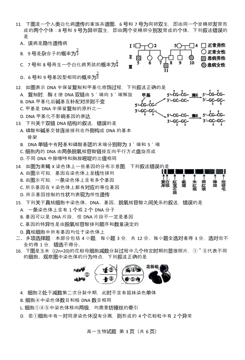 江苏省徐州市2024-2025学年高一下学期期中考试生物试题 Word版含答案.docx_第3页