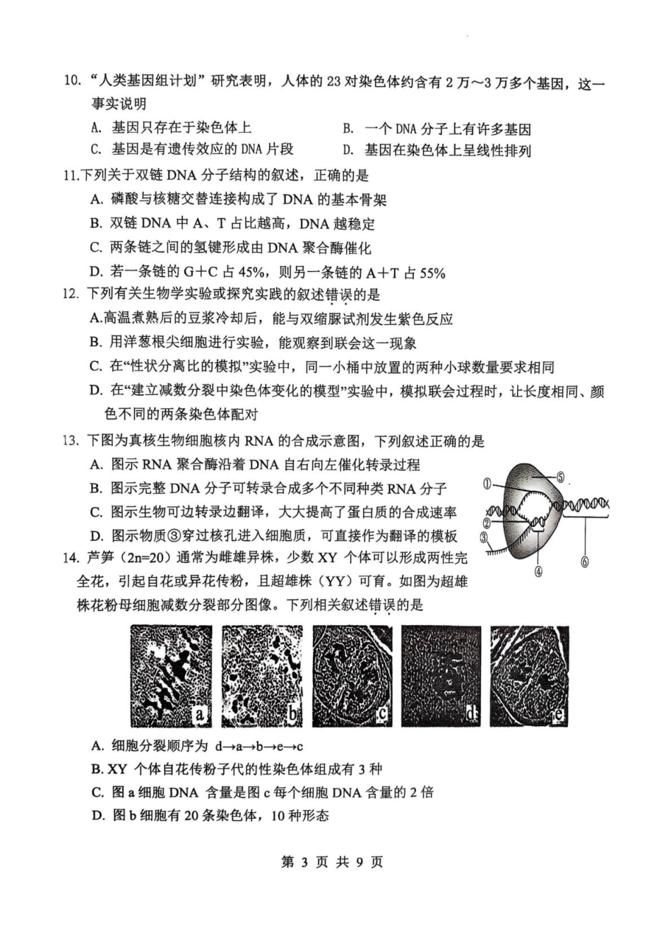 江苏省徐州市铜山区2024-2025学年高一下学期4月期中考试 生物 PDF版含答案.pdf_第3页