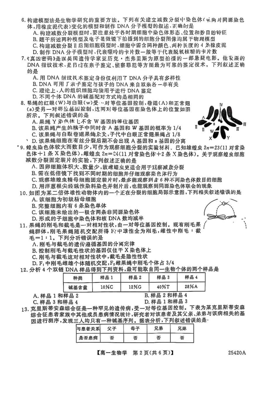 吉林省松原市2024-2025学年高一下学期期中考试生物试卷（图片版，含答案）.pdf_第2页