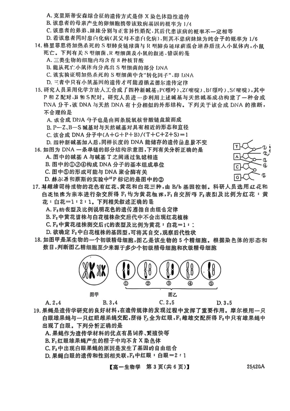 吉林省松原市2024-2025学年高一下学期期中考试生物试卷（图片版，含答案）.pdf_第3页