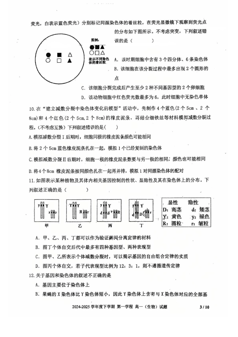 吉林省长春市十一高中2024-2025学年高一下学期4月第一学程考试生物试卷（扫描版，无答案）.pdf_第3页