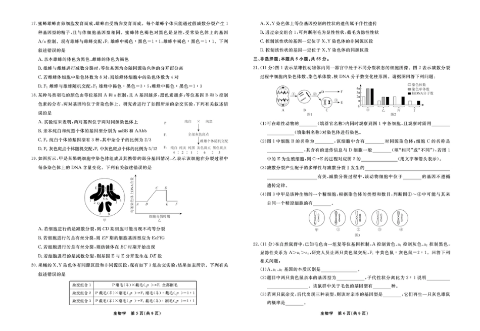 辽宁省县域重点高中2024-2025学年高一下学期期中生物试卷（扫描版有解析）.pdf_第3页
