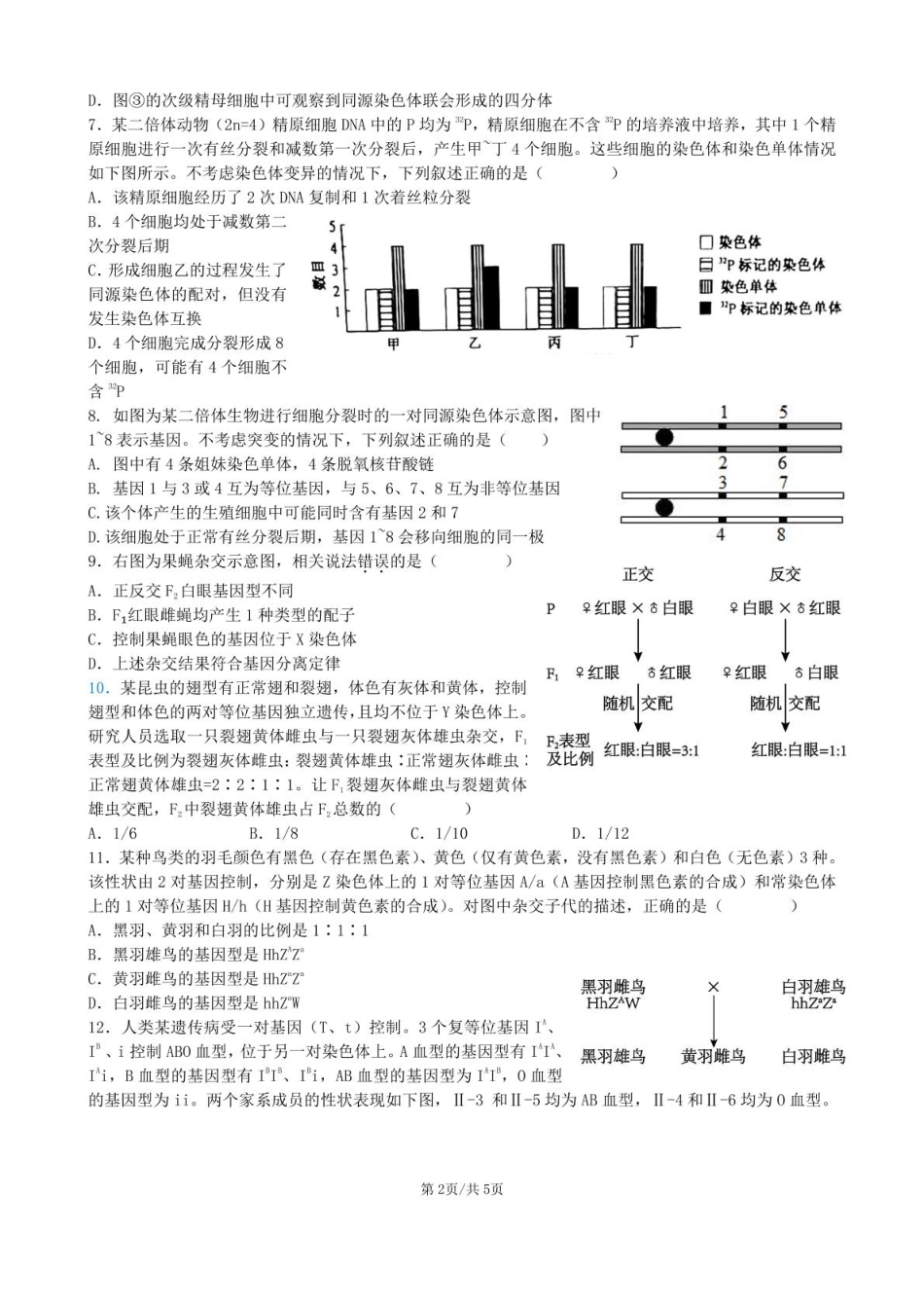 安徽省合肥市普通高中六校联盟2024-2025学年高一下学期4月期中考试 生物 PDF版含答案.pdf_第2页