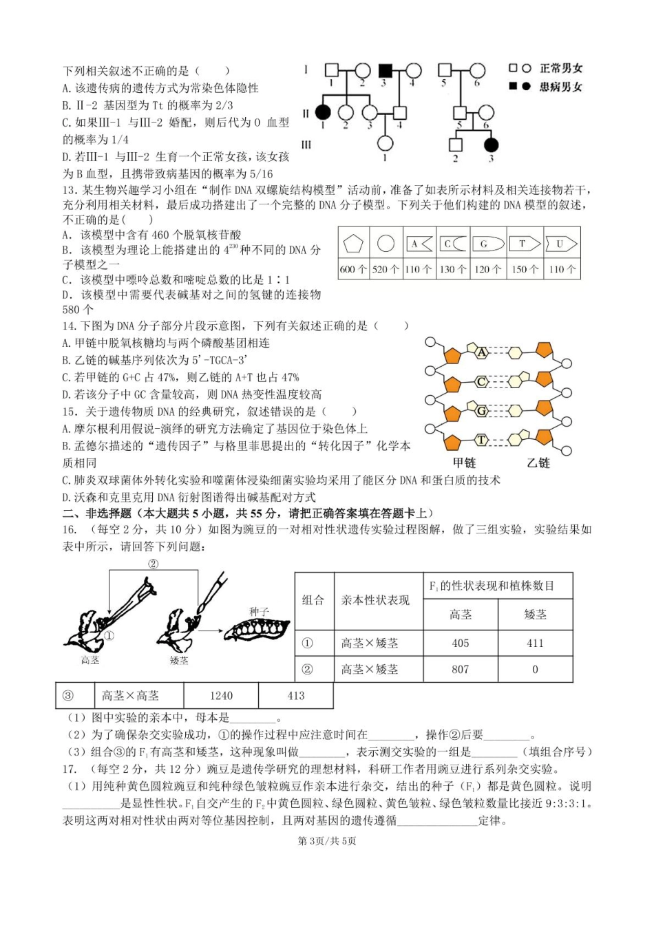 安徽省合肥市普通高中六校联盟2024-2025学年高一下学期4月期中考试 生物 PDF版含答案.pdf_第3页