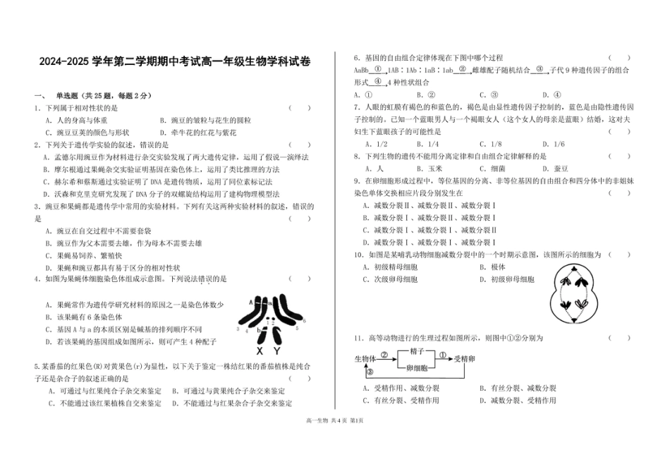 甘肃省兰州市第四片区2024-2025学年高一下学期期中考试 生物 PDF版含答案.pdf_第1页