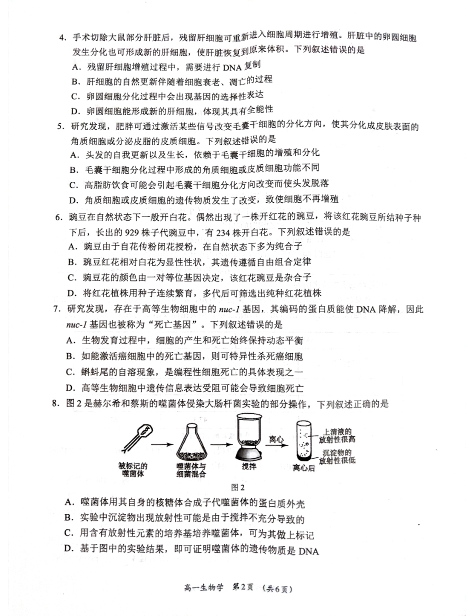广西柳州市2024-2025学年高一下学期4月联考生物试卷（无答案）.pdf_第2页
