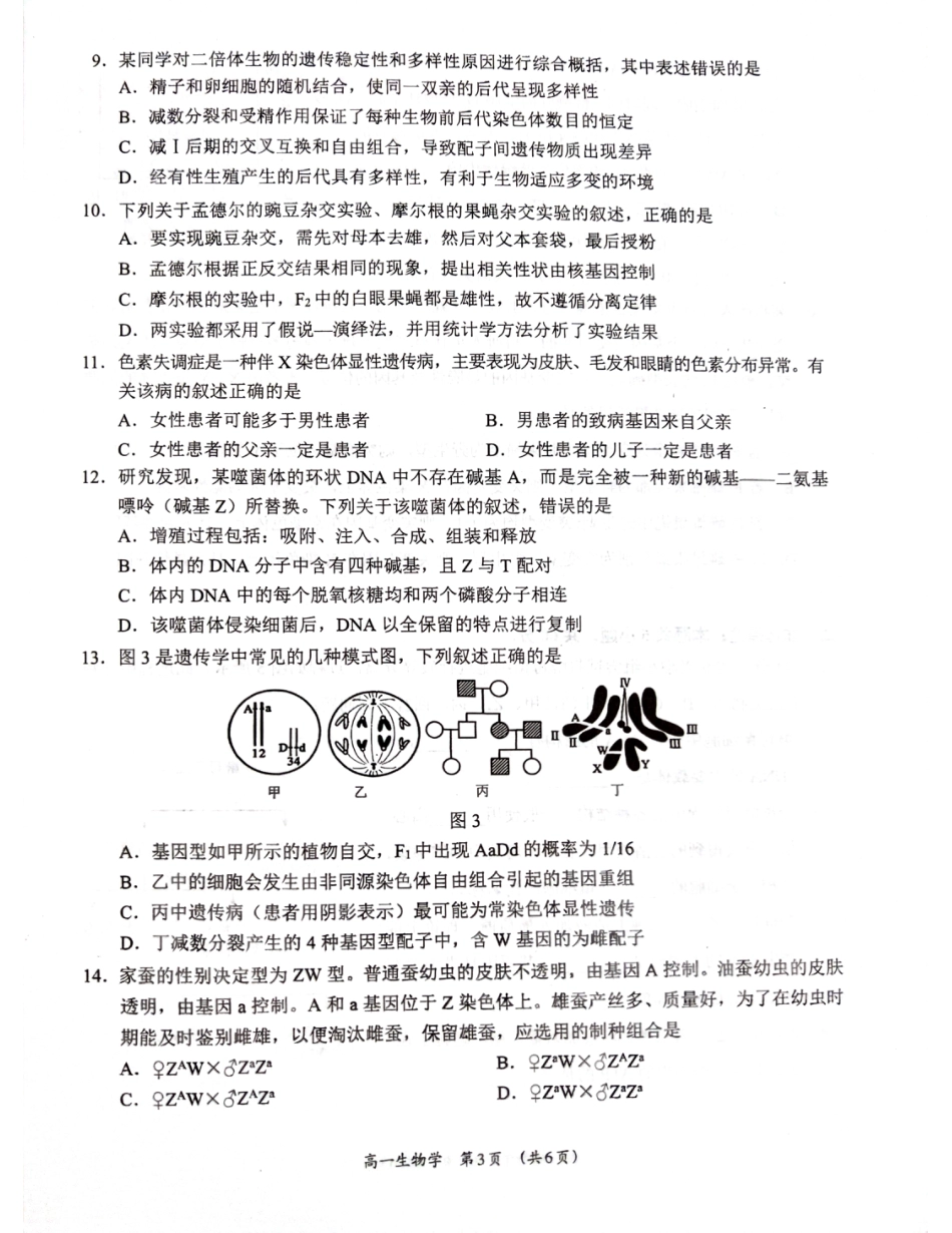 广西柳州市2024-2025学年高一下学期4月联考生物试卷（无答案）.pdf_第3页